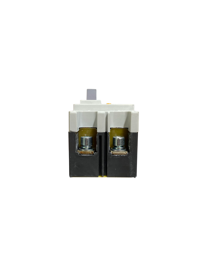 BREAKER 2X63A CAJA MOLDEADA  SERIE AMI