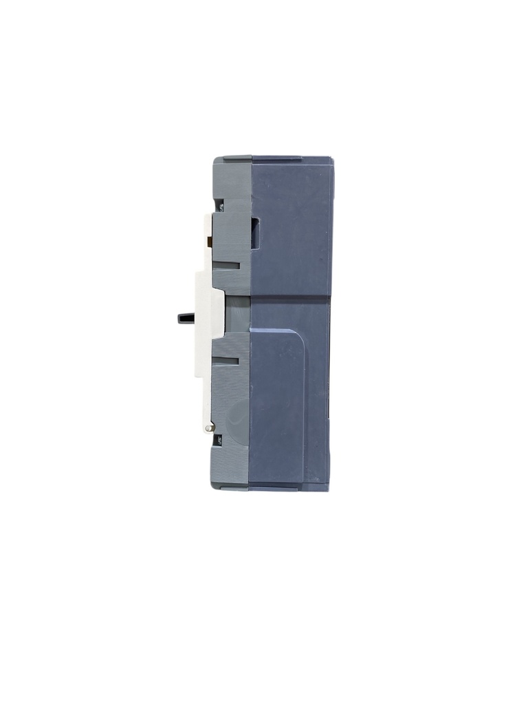 BREAKER 2X60A CAJA MOLDEADA TERMOMAGNETICO FIJO