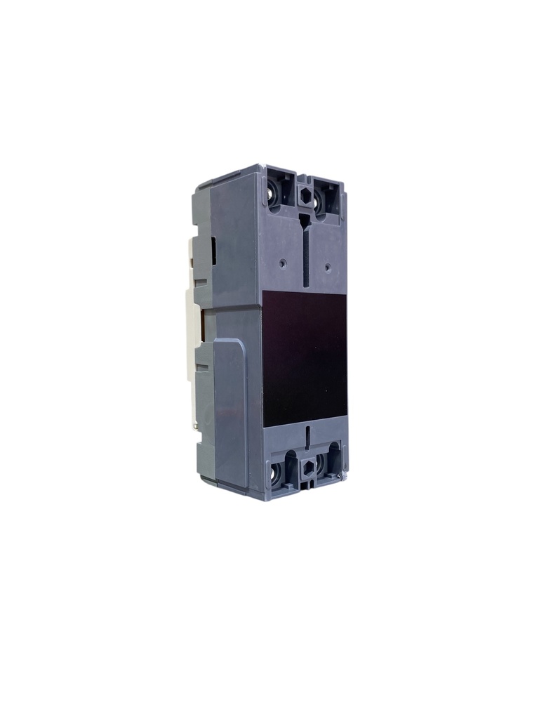 BREAKER 2X60A CAJA MOLDEADA TERMOMAGNETICO FIJO