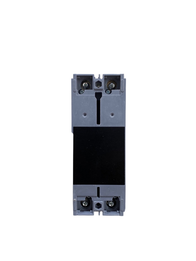 BREAKER 2X125A CAJA MOLDEADA TERMOMAGNETICO FIJO