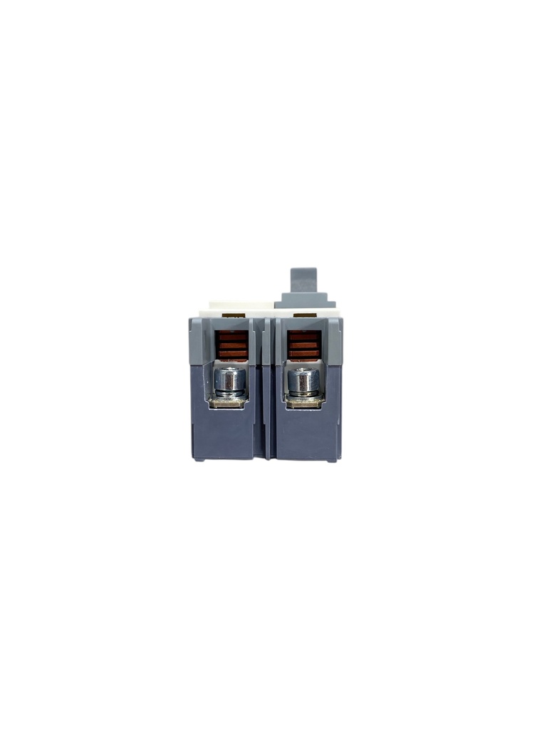 BREAKER 2X125A CAJA MOLDEADA TERMOMAGNETICO FIJO