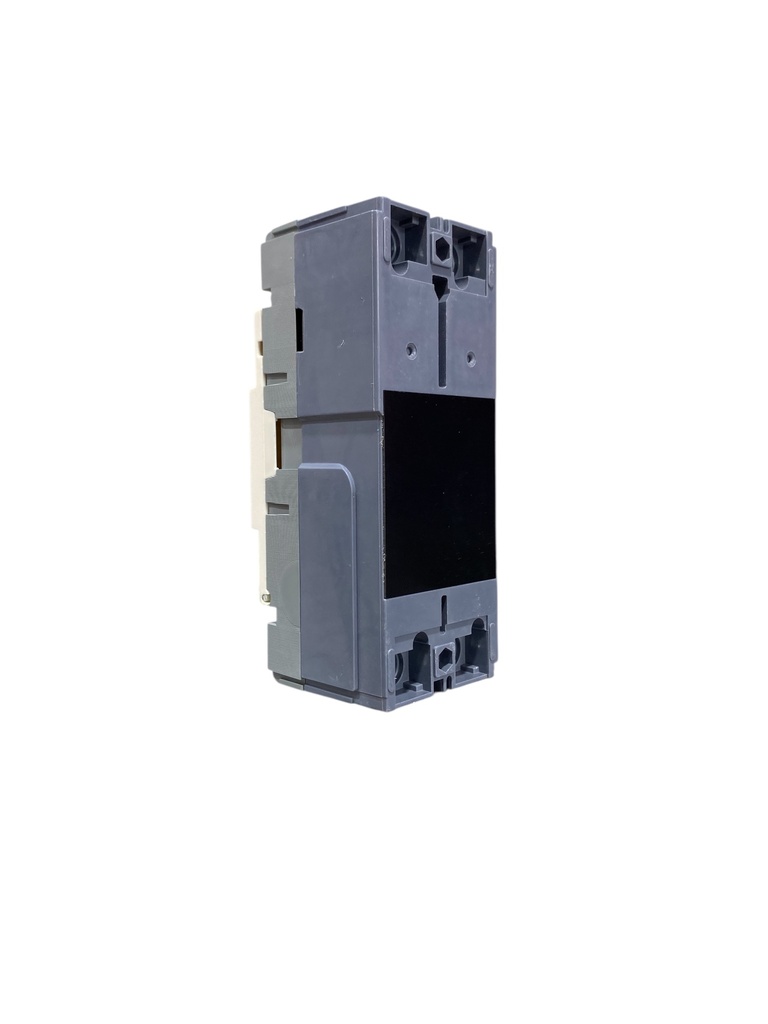 BREAKER 2X100A CAJA MOLDEADA TERMOMAGNETICO FIJO