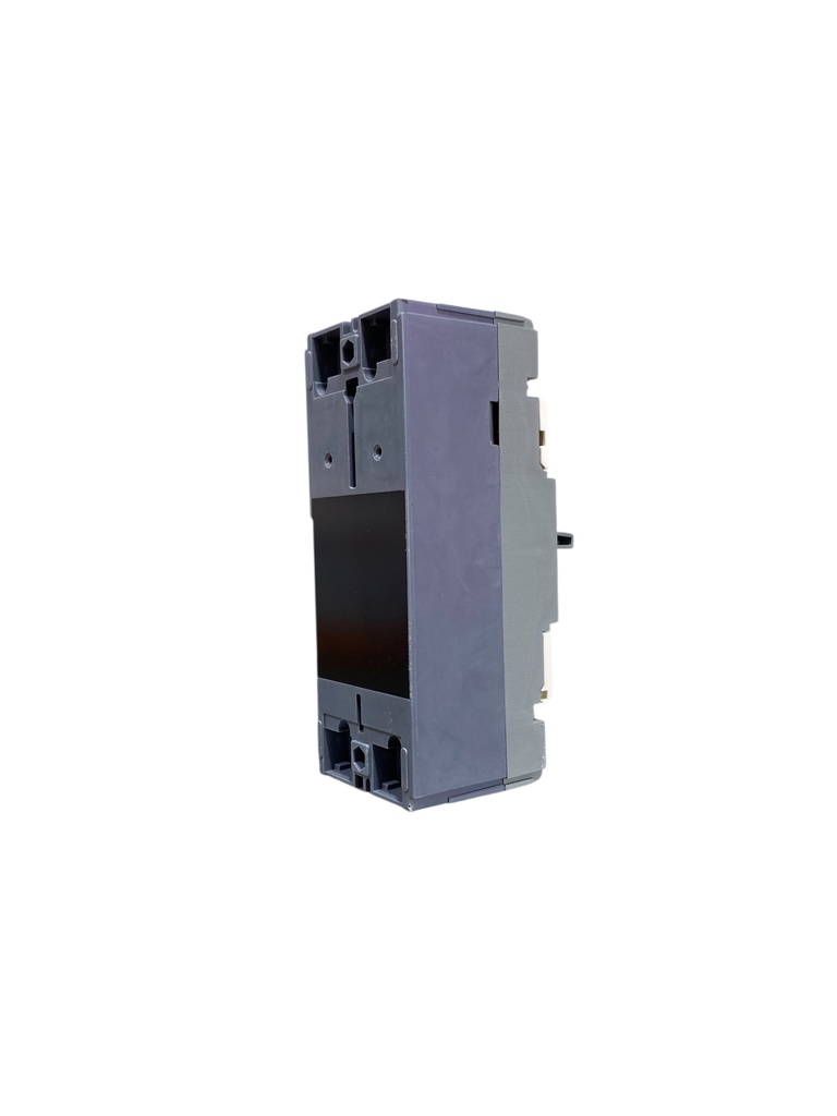 BREAKER 2X100A CAJA MOLDEADA TERMOMAGNETICO FIJO