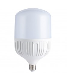 BOMBILLO LED 30W E27 85-265V 6.500K