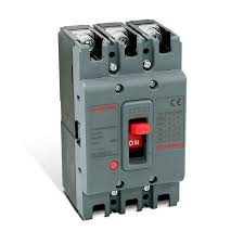 BREAKER 2X100A CAJA MOLDEADA