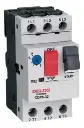 GUARDAMOTOR 6-10A SERIE CDP6-32 MARCA DELIXI