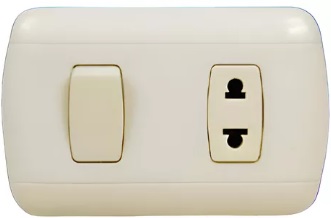 INTERRUPTOR + TOMACORRIENTE 10A 127/220V