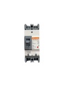 BREAKER 2X100A CAJA MOLDEADA TERMOMAGNETICO FIJO